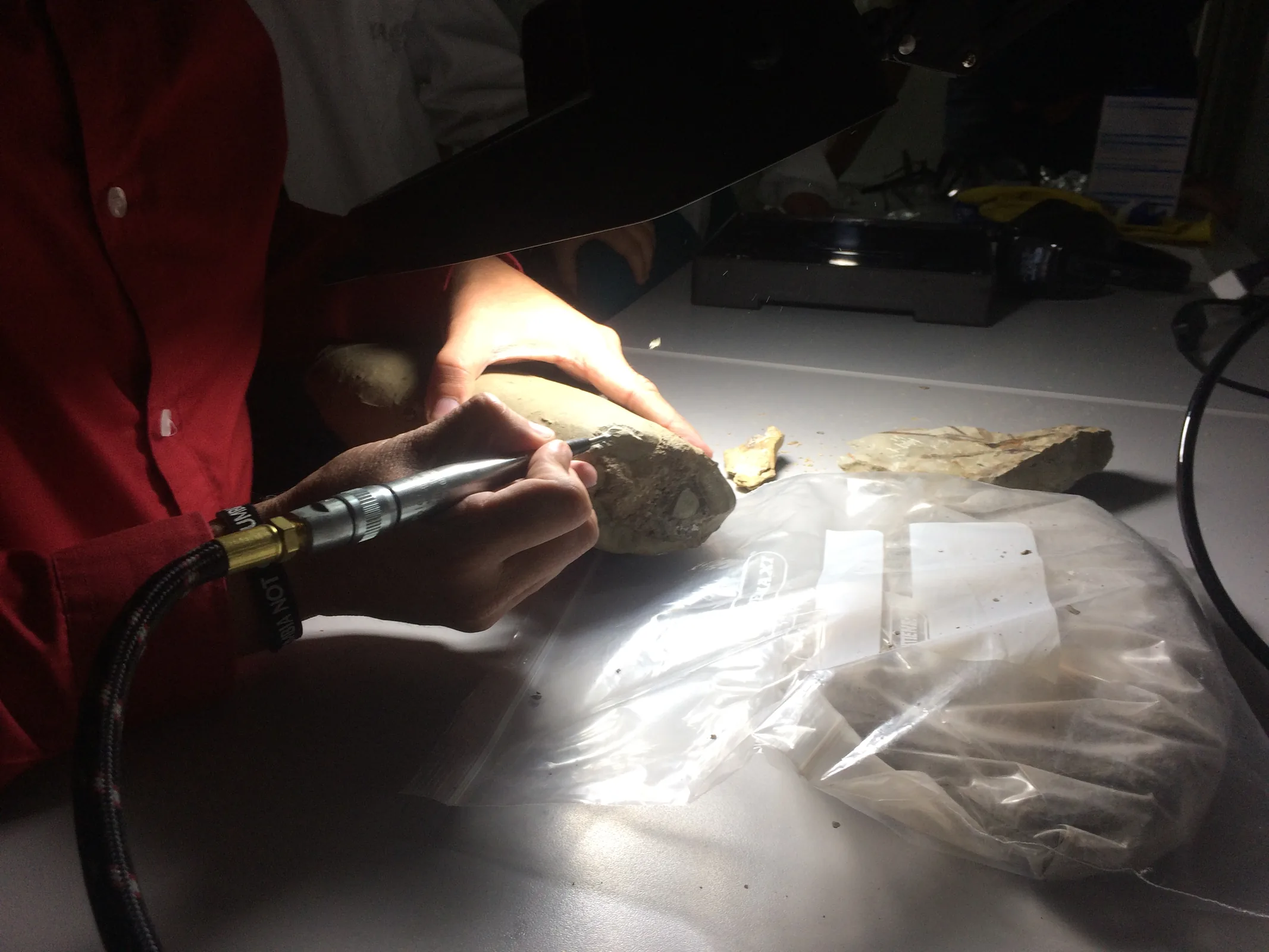 Rikuna researchers working with a fossil discovery in the Ecuadorian Amazon